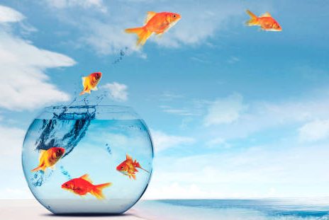 Bold Moves Are the Best Moves